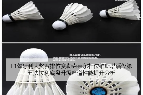 xiong-ya-li-da-jiang-sai-pai-wei-sai-lei-ke-lai-er-gan-wei-wei-si-ta-pan-jin-di-wu-fa-la-li-di-pan-sheng-ji-wan-dao-2-629.jpg